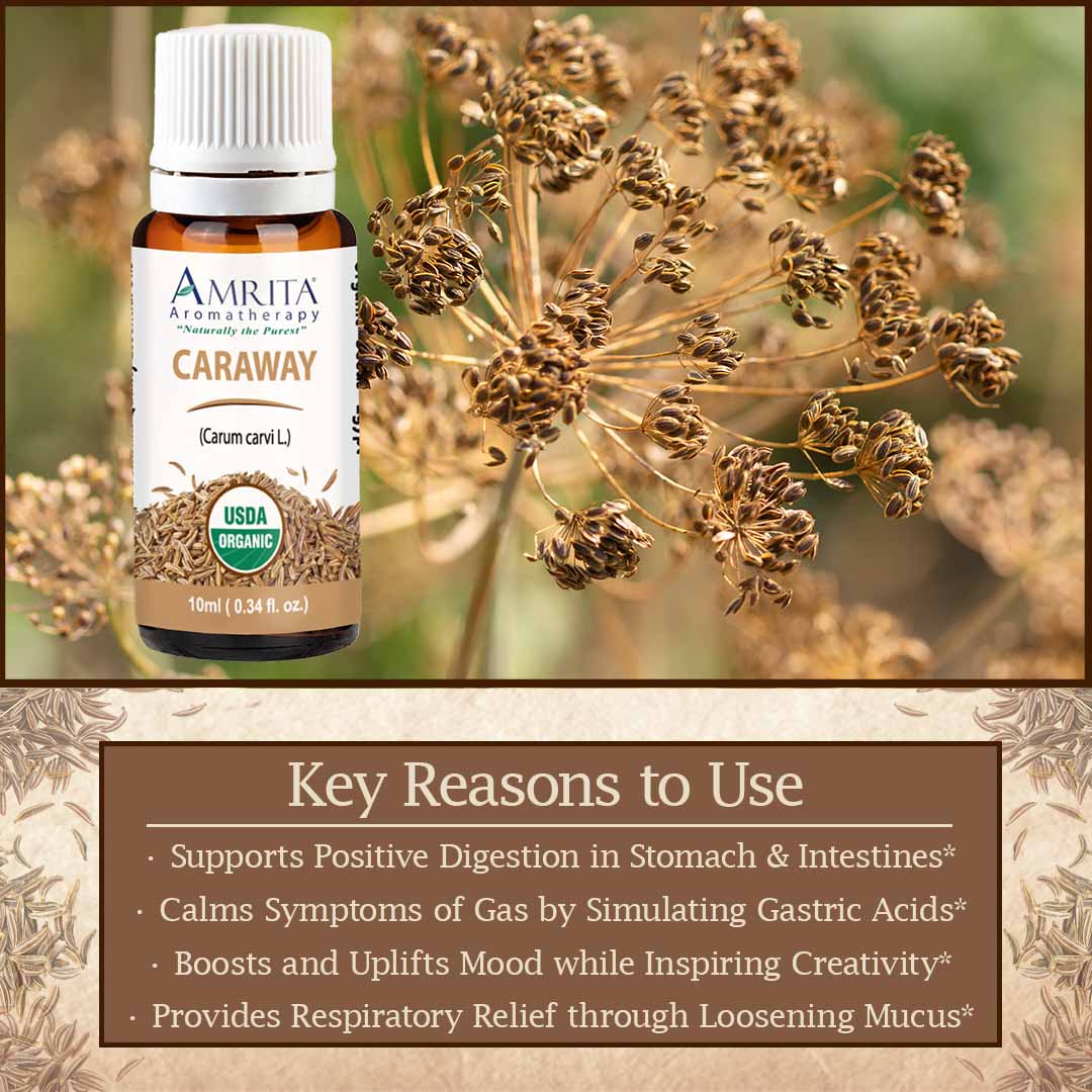 Click here for Caraway