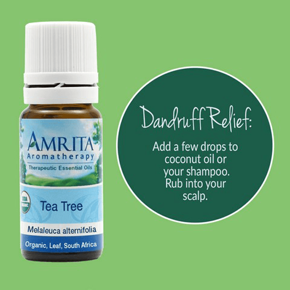 Dandruff And Aromatherapy Essential Oils