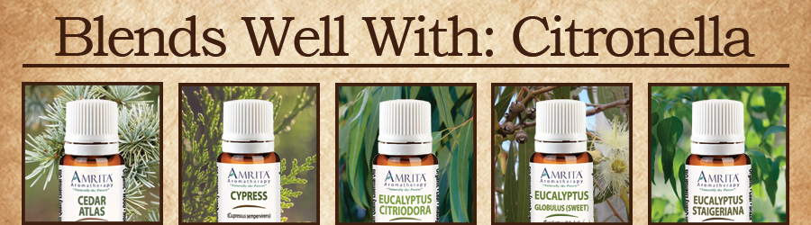 Click here to read more on Citronella!