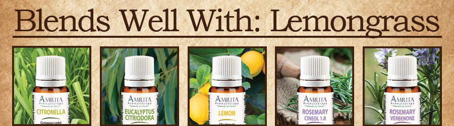 Click here to read more on Lemongrass!