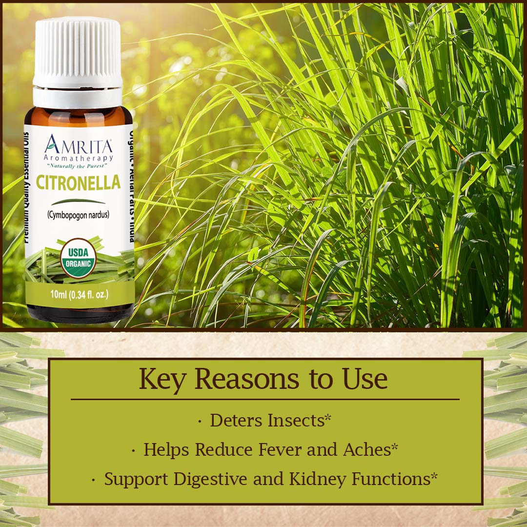 Click here for Citronella