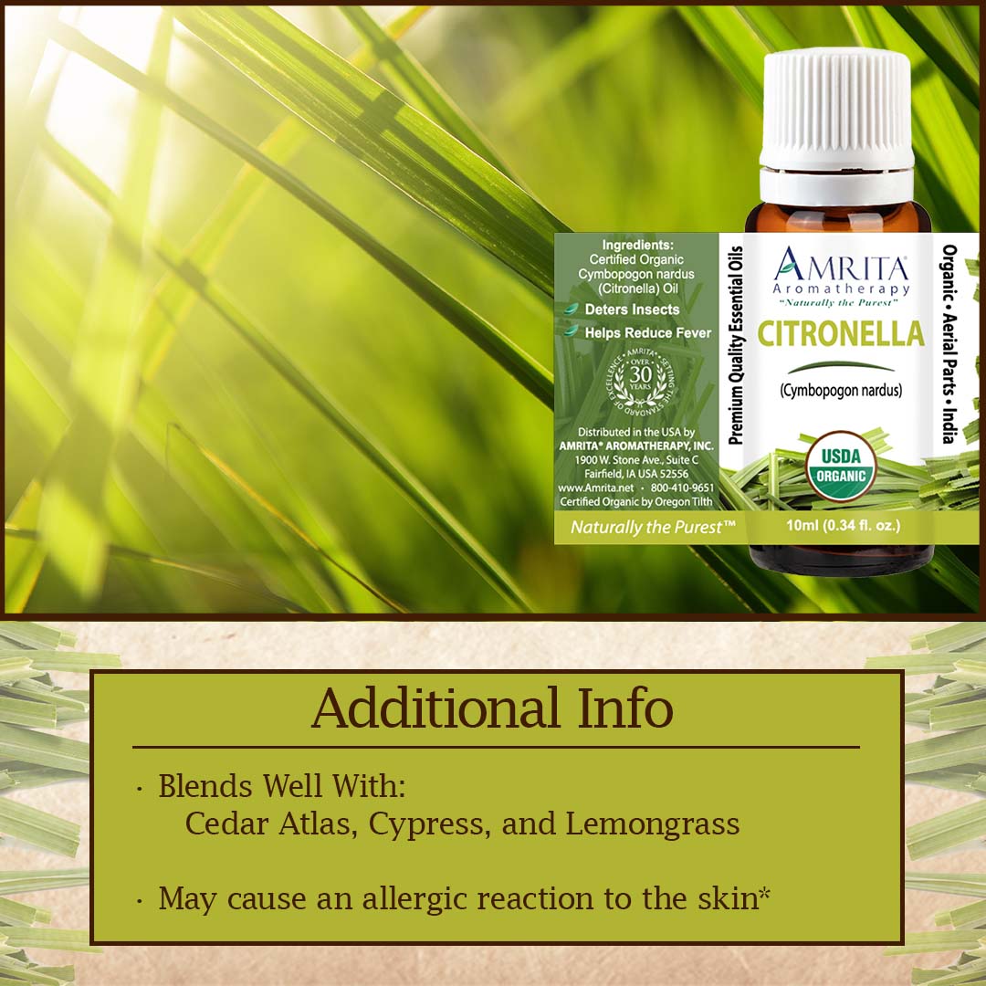 Discover all the benefits of Citronella