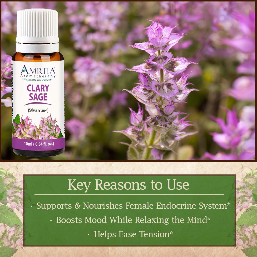 Click here for Clary Sage