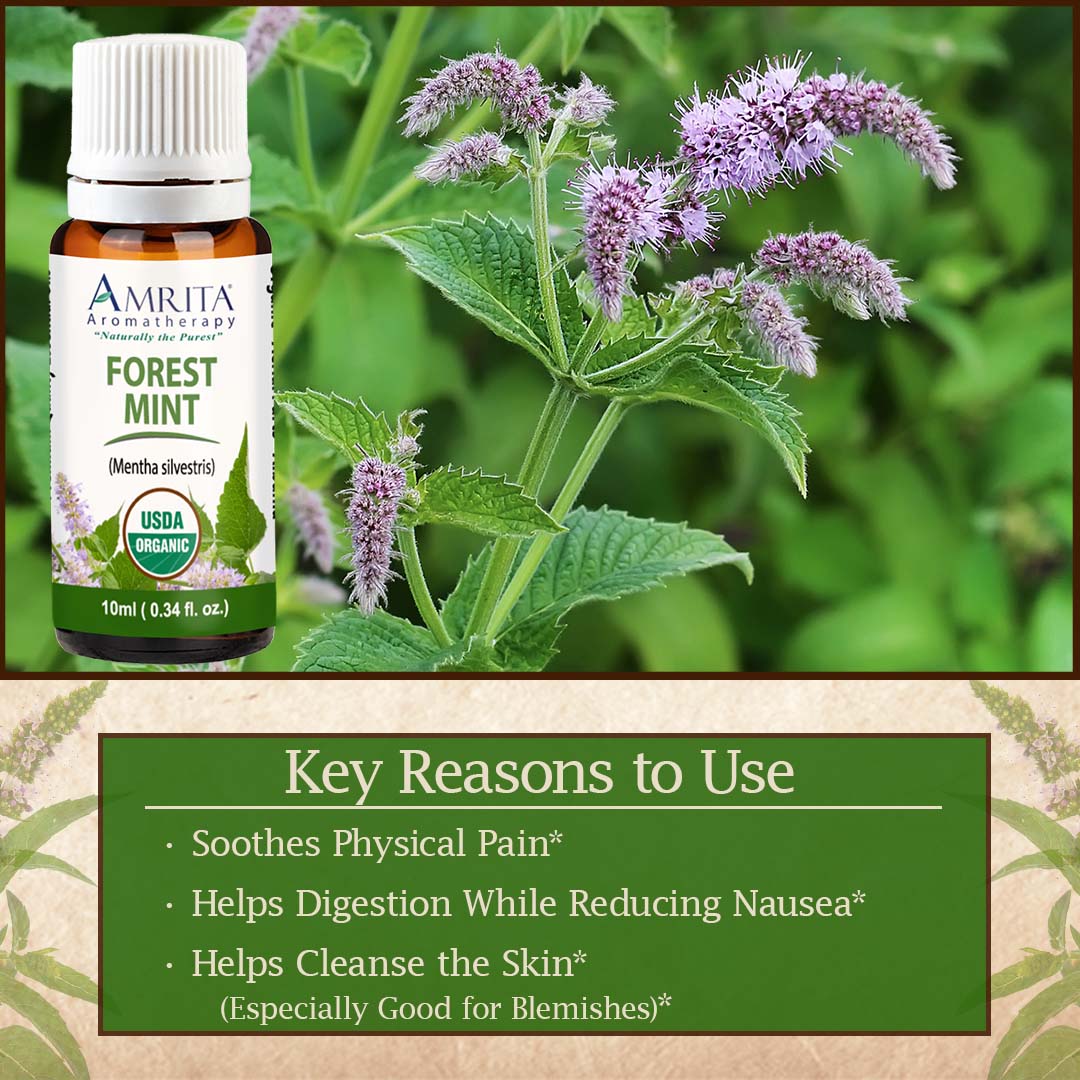 Click here for Forest Mint