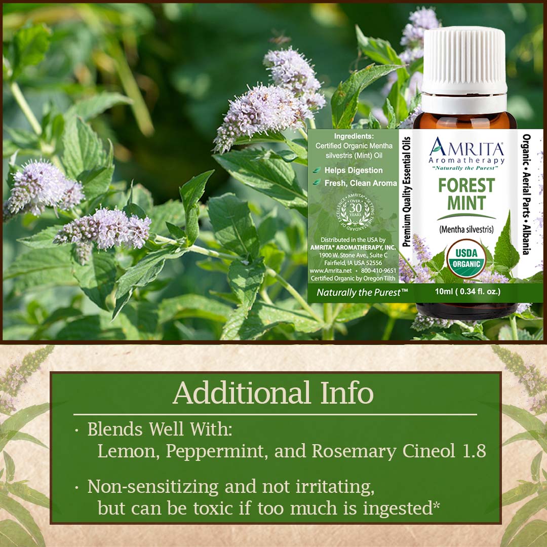 Click here for Forest Mint