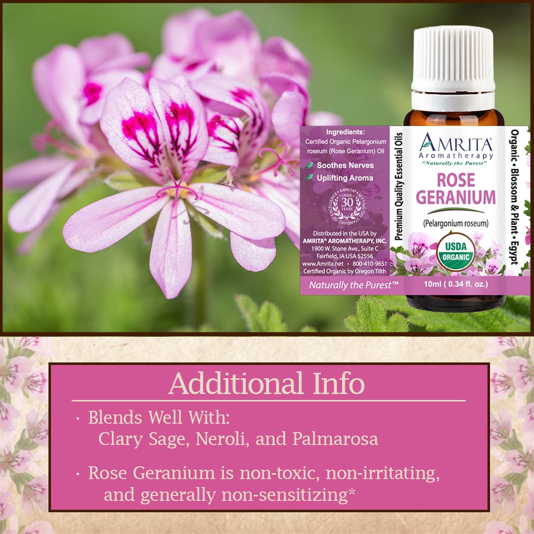 Click here for Organic Rose Geranium