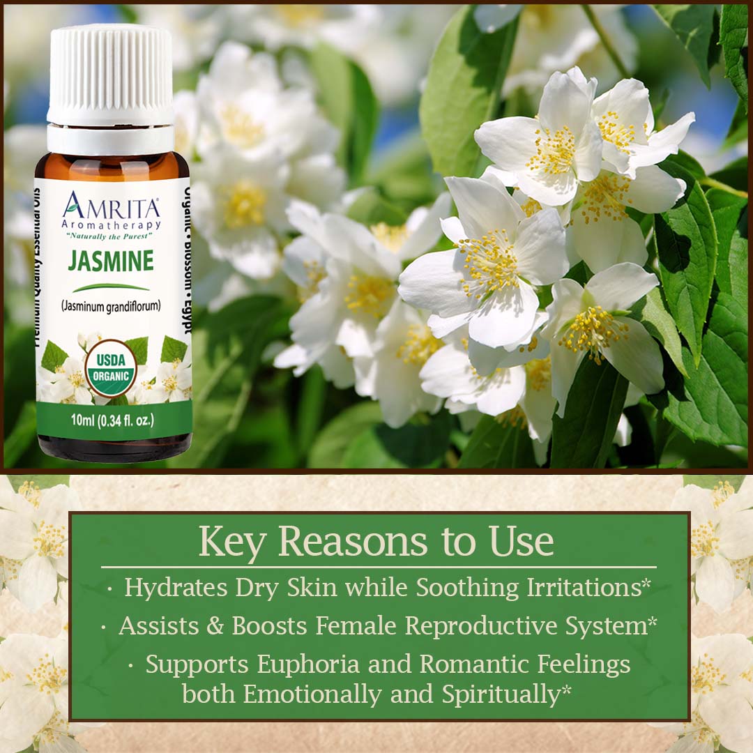 Click here for Jasmine