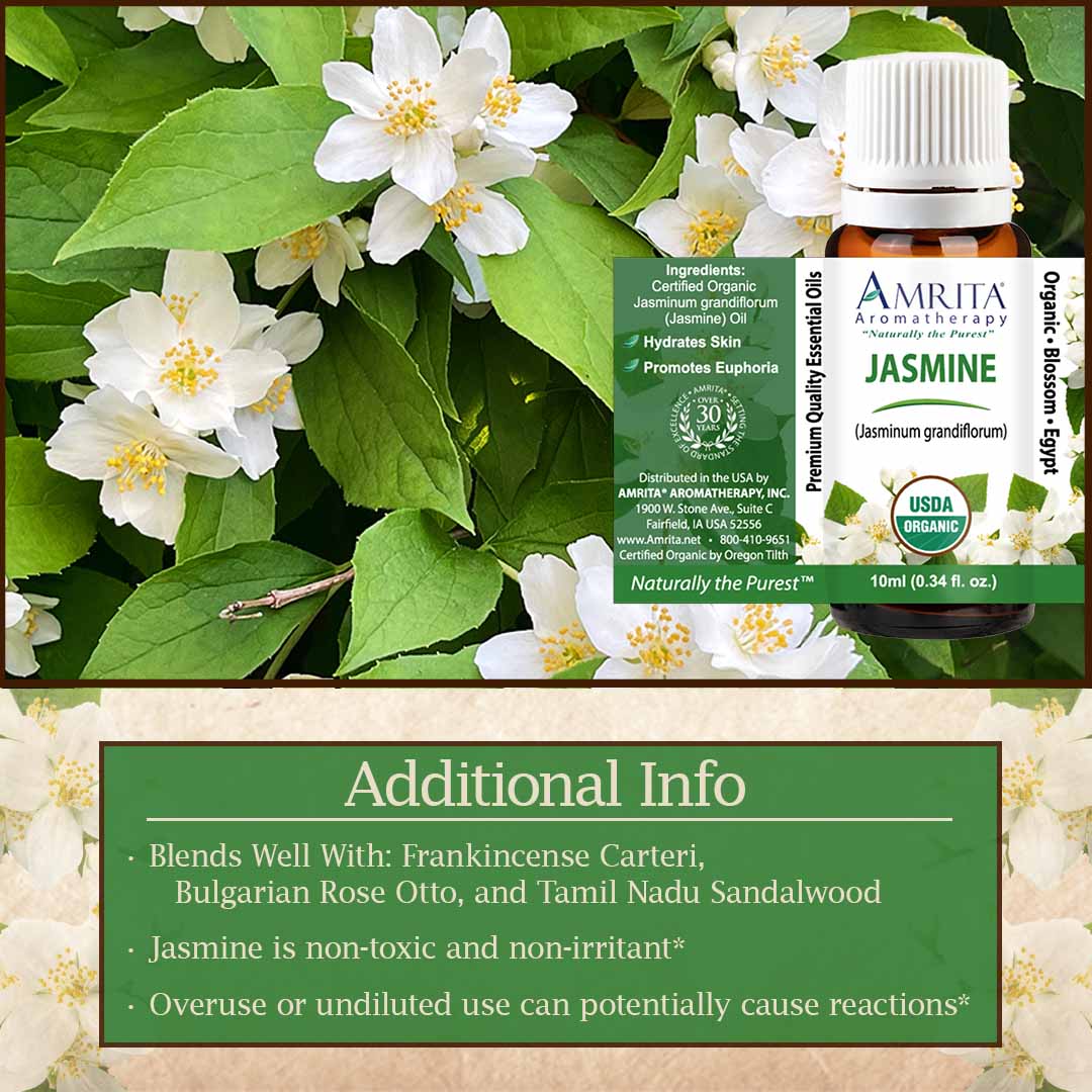Click here to shop Jasmine