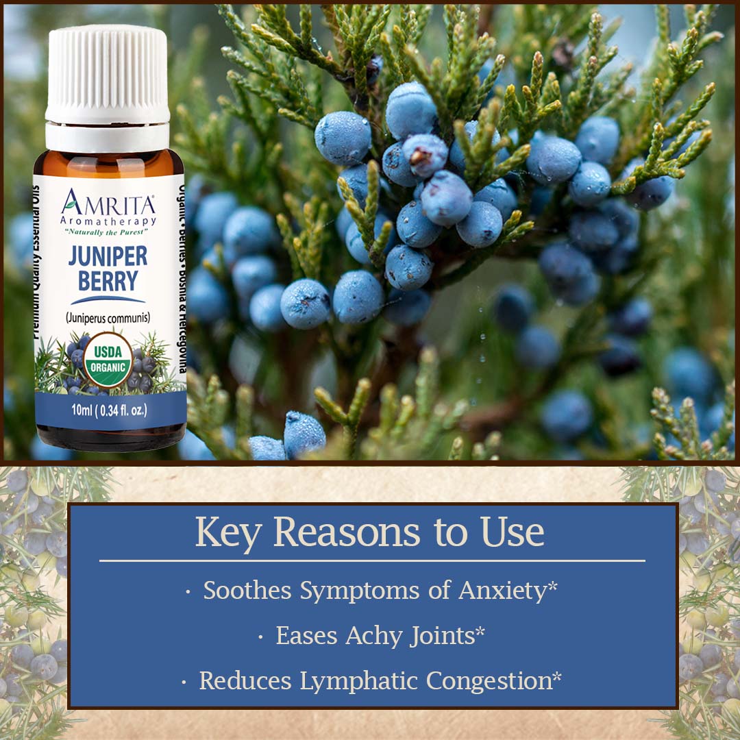 Click here for Juniper Berry