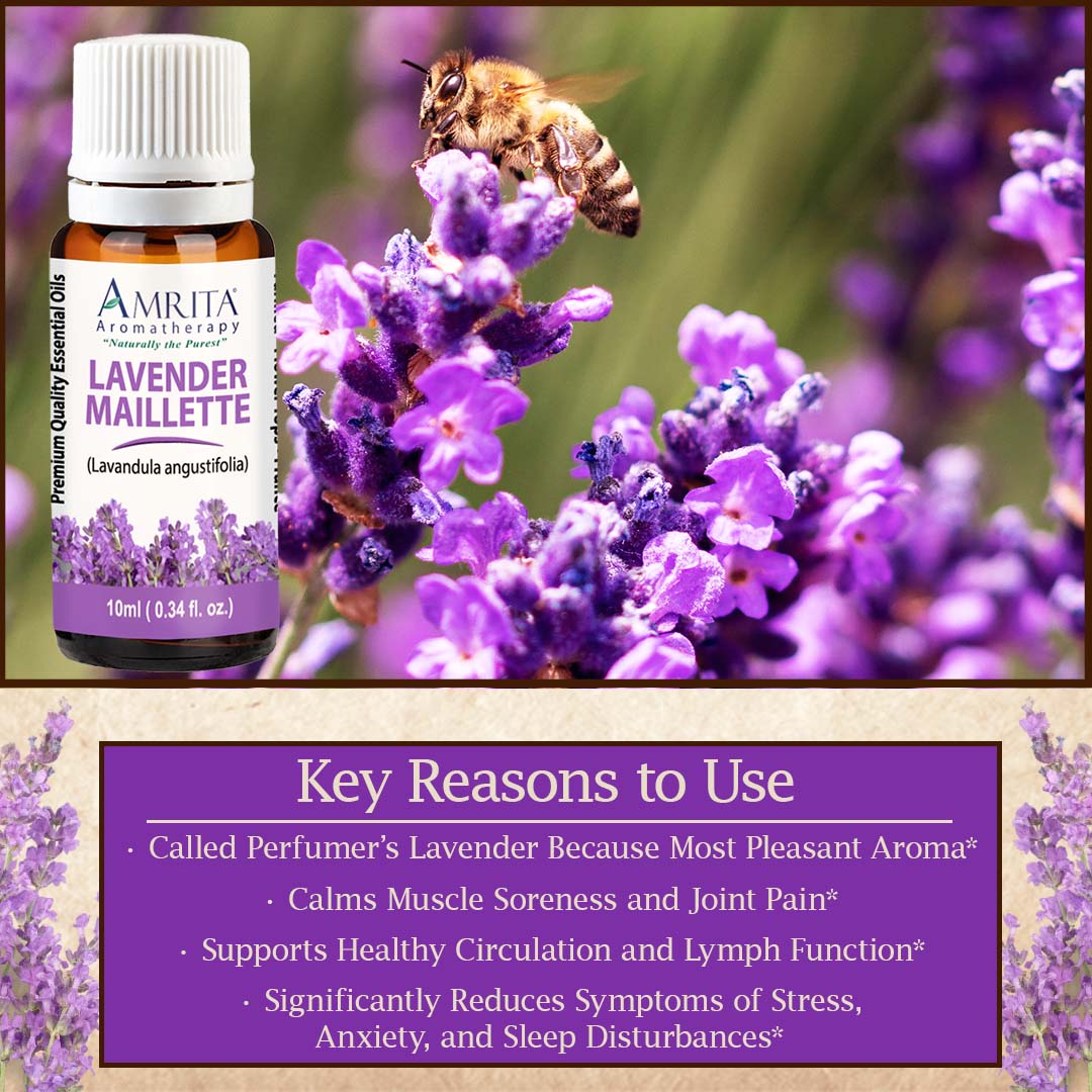 Click here for Lavender Maillette