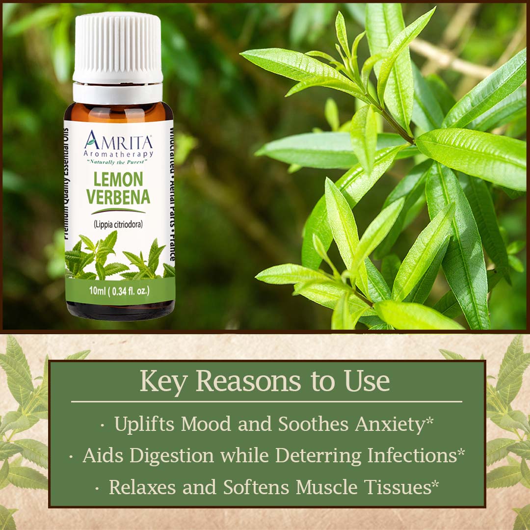 Click here to shop Lemon Verbena