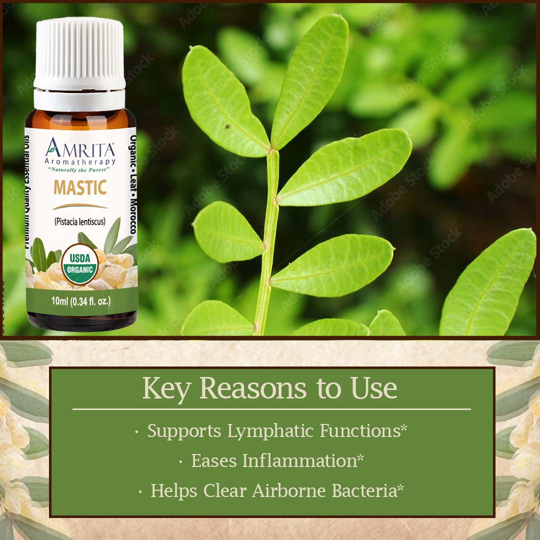 Click here for Mastic