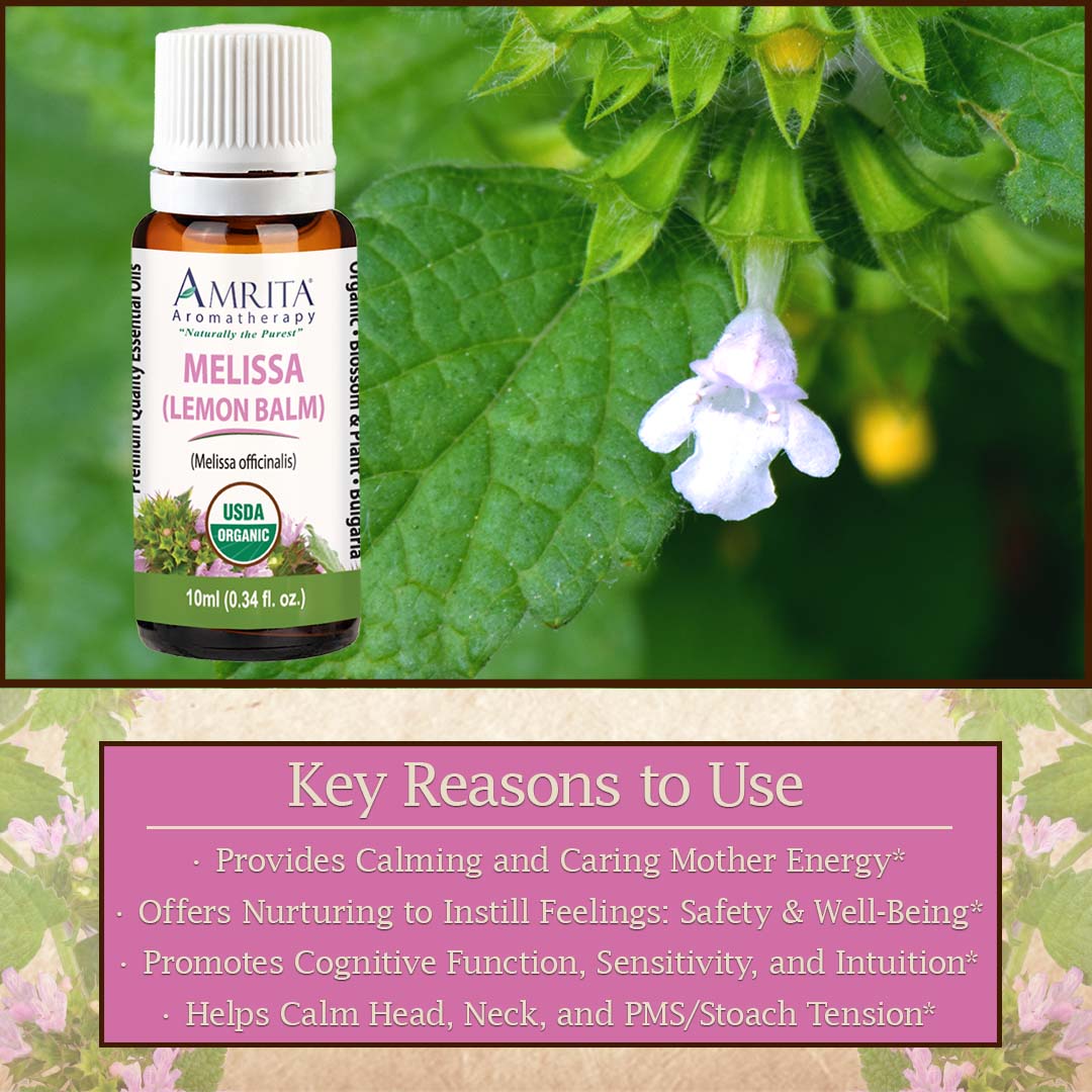 Click here to shop Melissa Lemon Balm