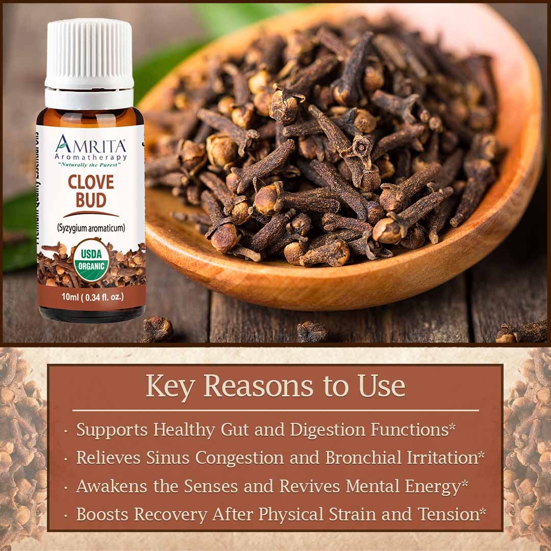 Discover the secrets of Clove Bud