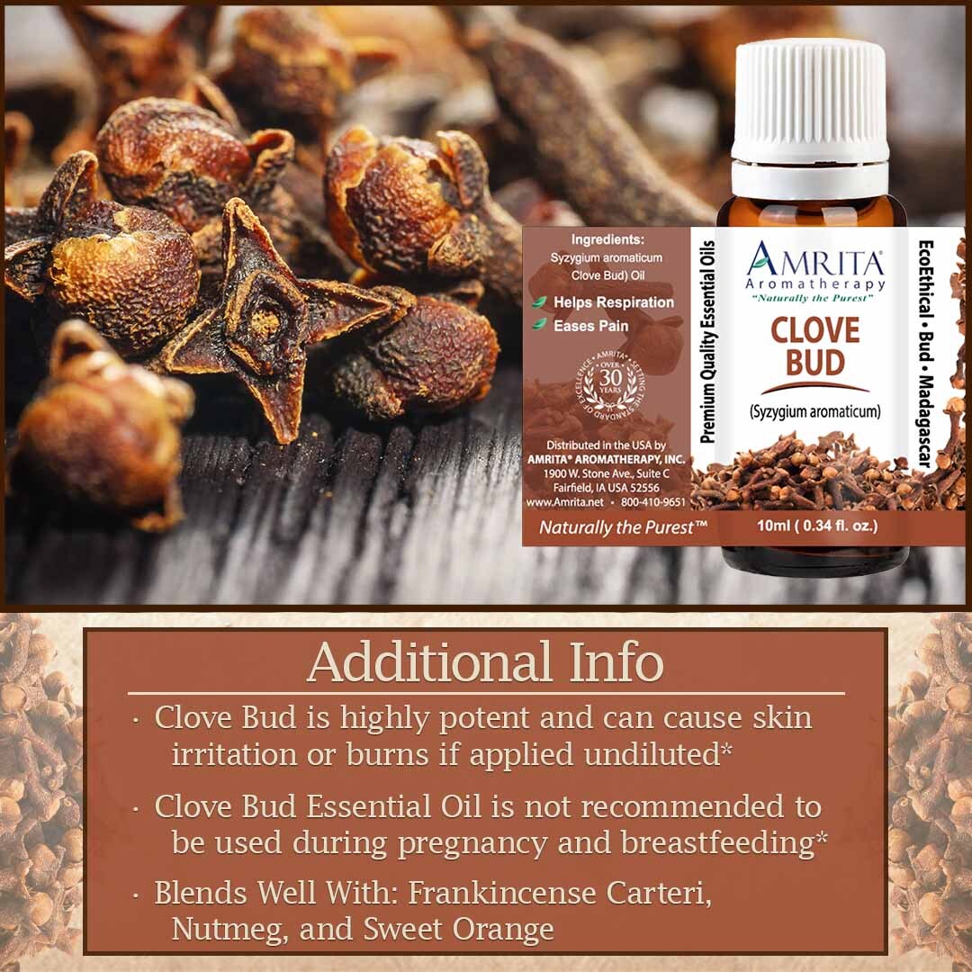 Discover the secrets of Clove Bud