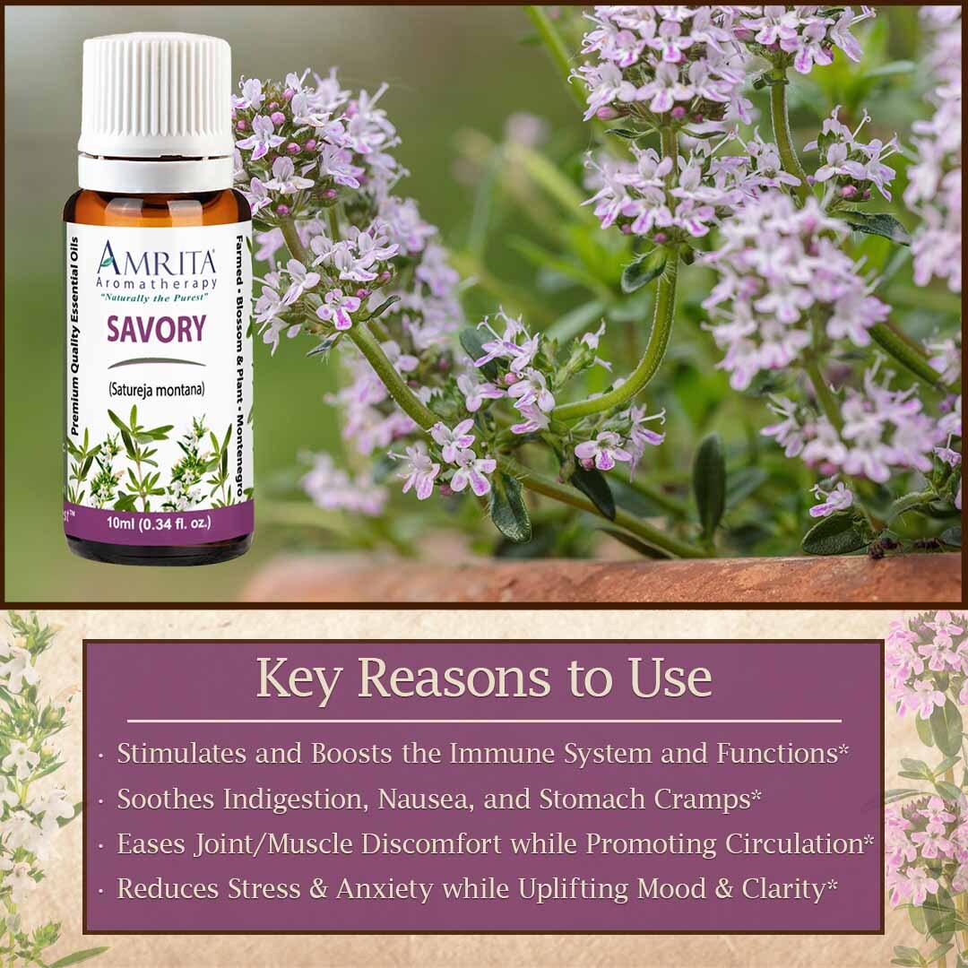 Discover the secrets of Savory