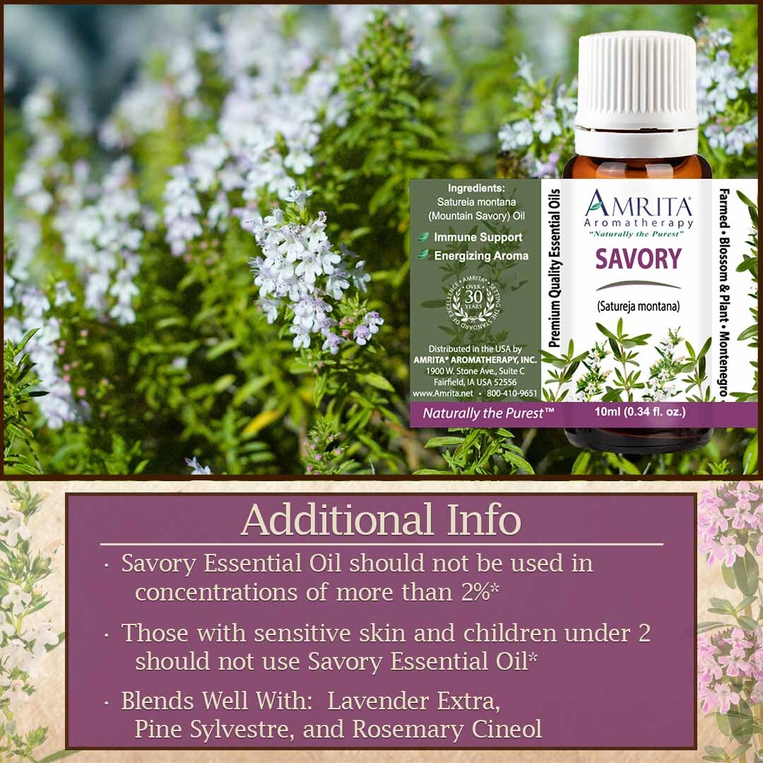 Discover the secrets of Savory