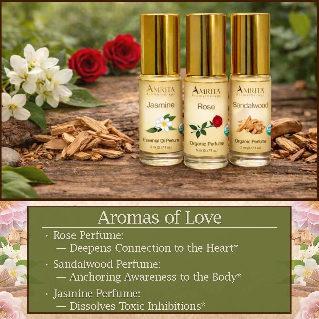 Discover the Perfume Collection