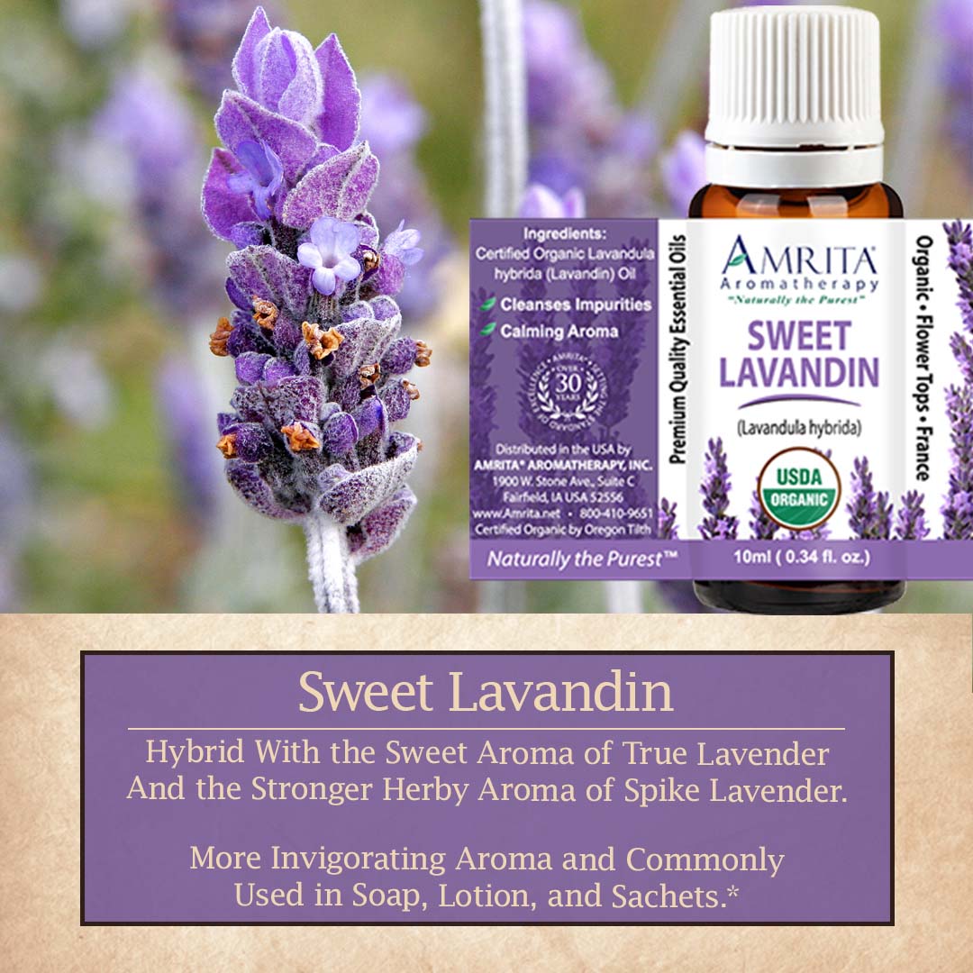 Click here for Sweet Lavandin