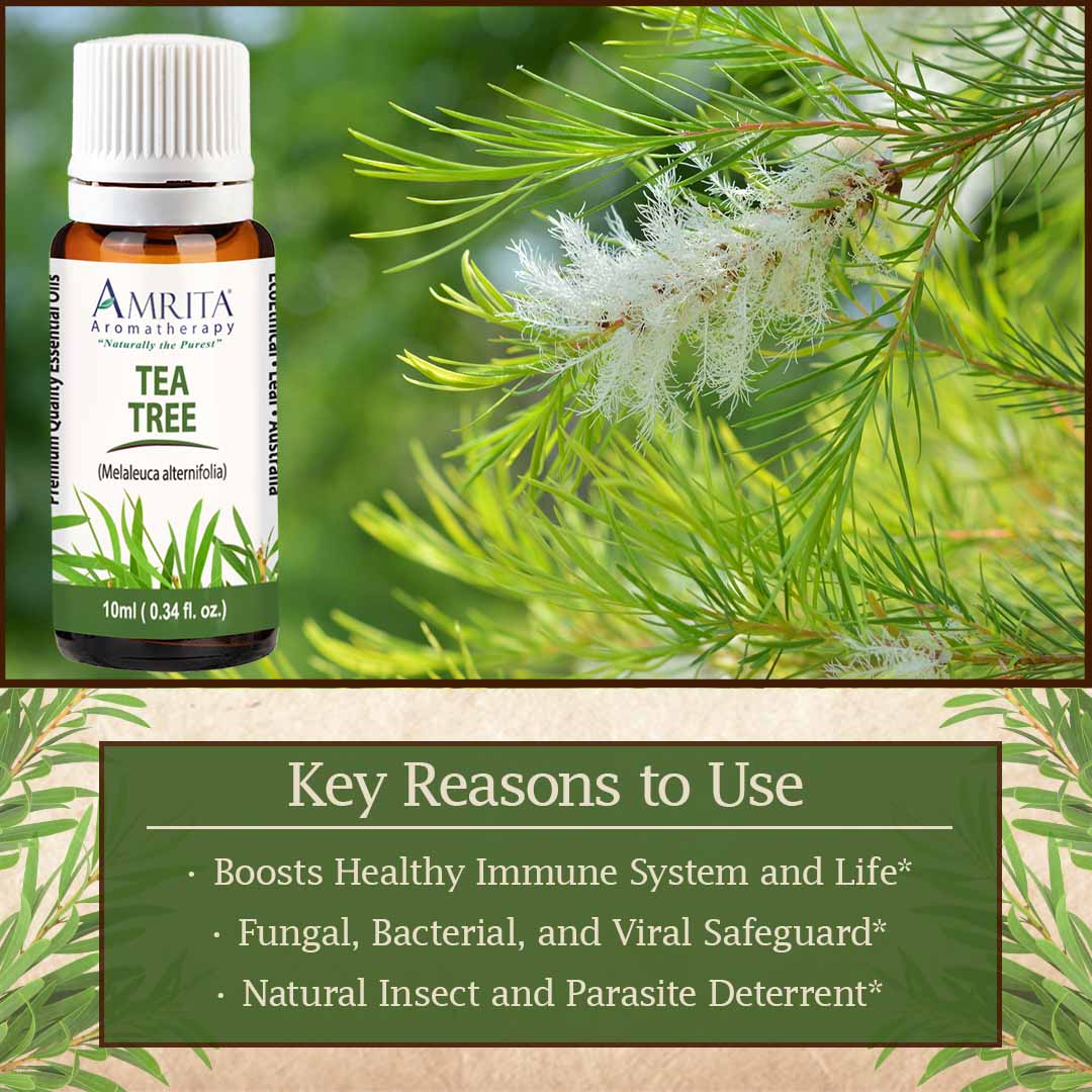 Click here for Tea Tree