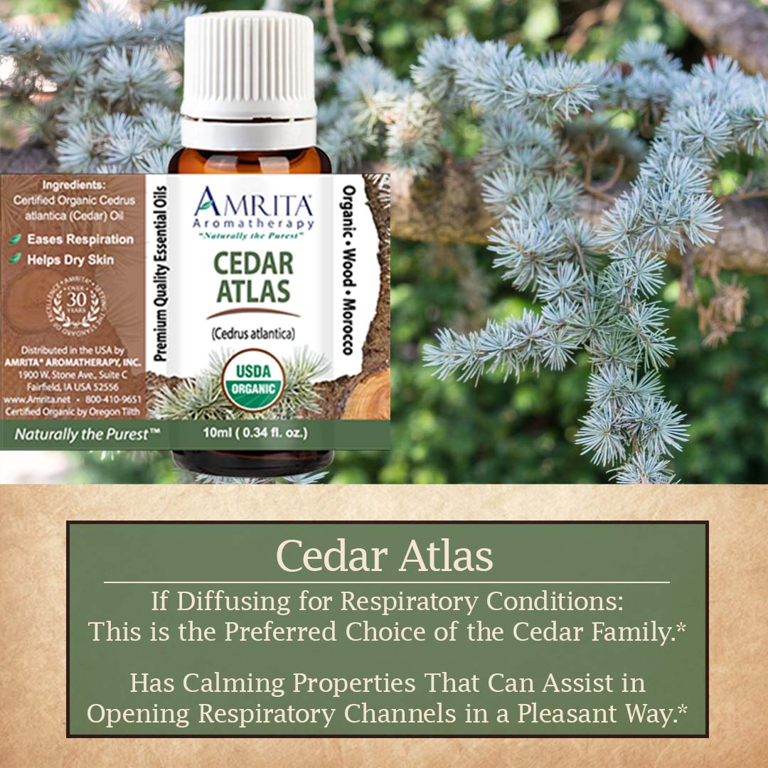 Click here for Cedar Atlas