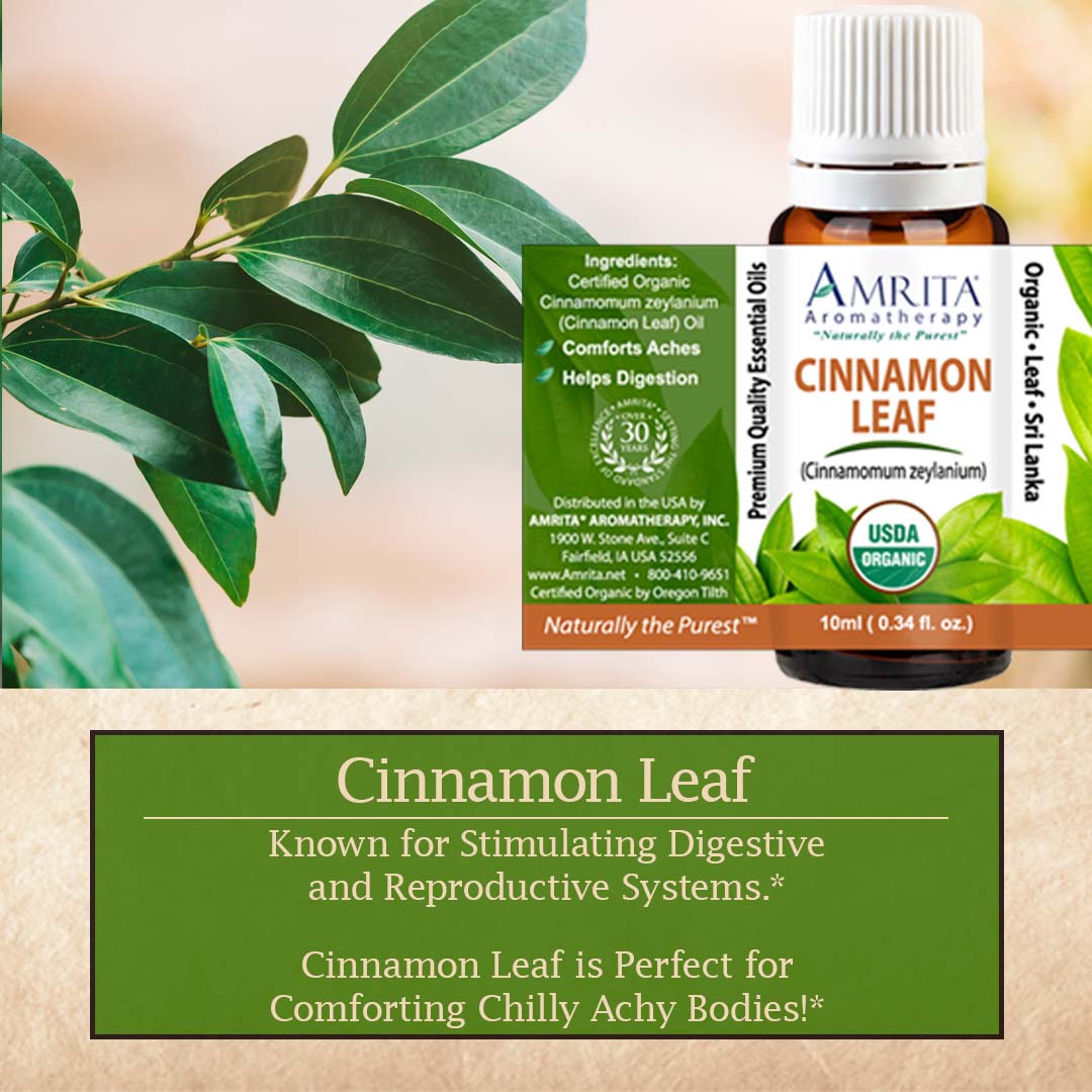 Click here for Cinnamon Leaf