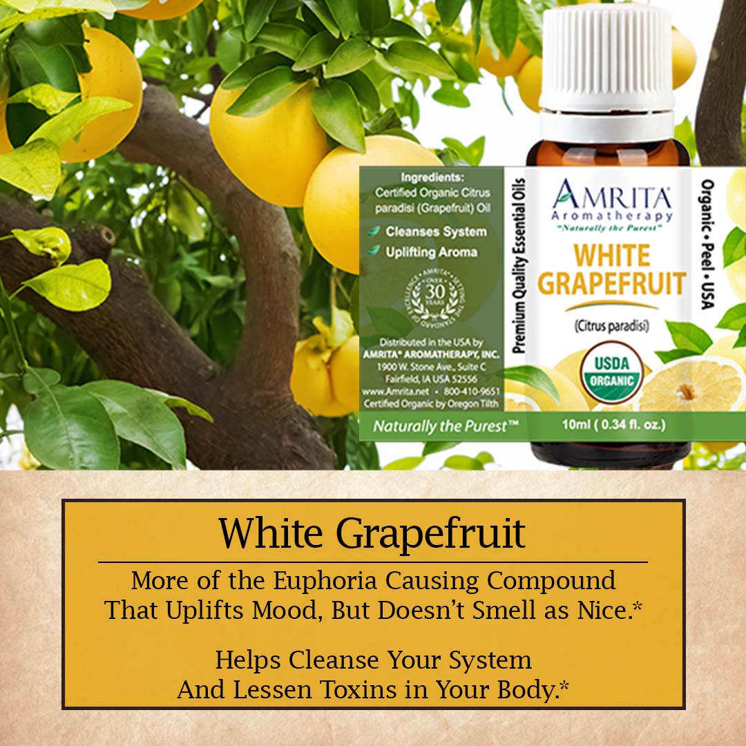 Click here for White Grapefruit