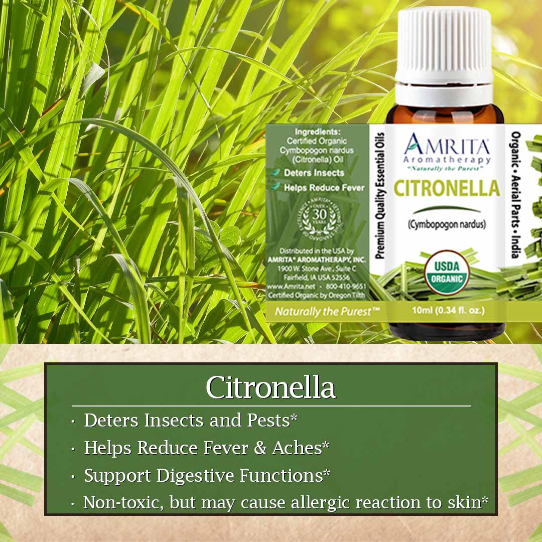 Click here to shop Citronella