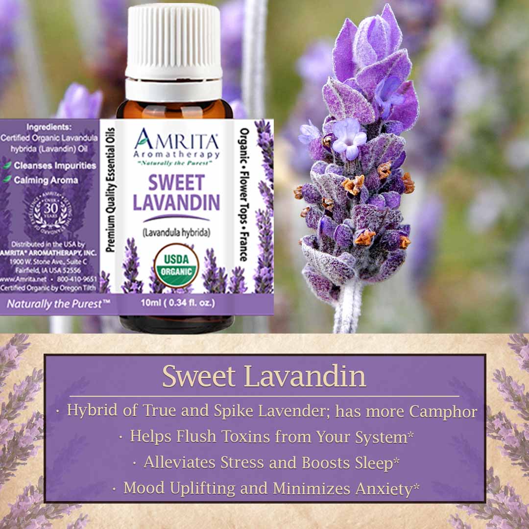 Click here for Sweet Lavandin