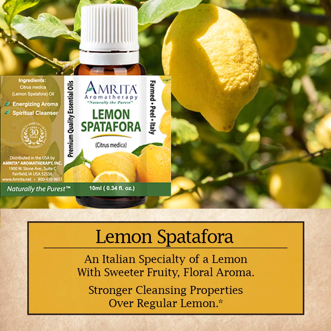 Click here for Lemon Spatafora