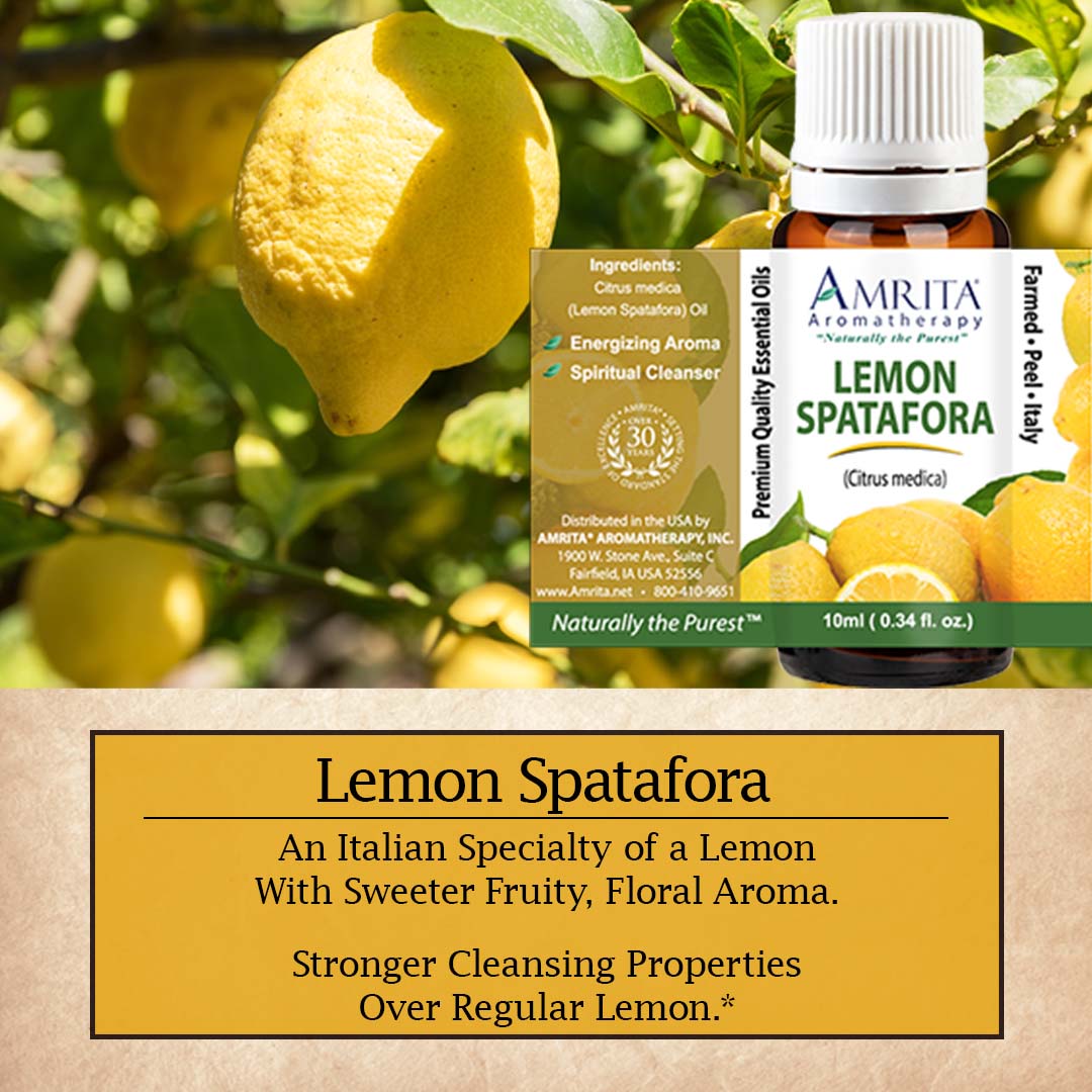 Click here for Lemon Spatafora