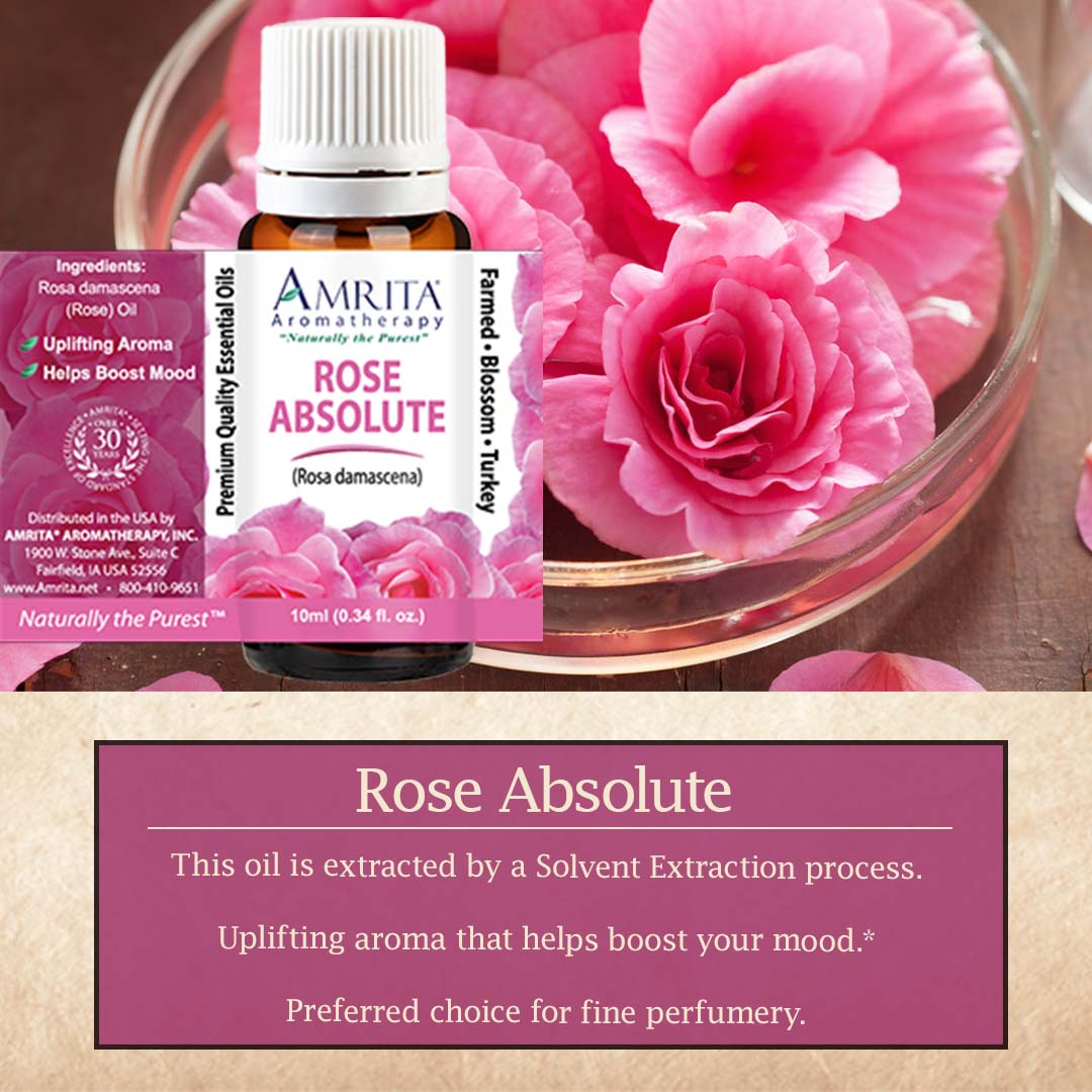 Click here for Rose Absolute