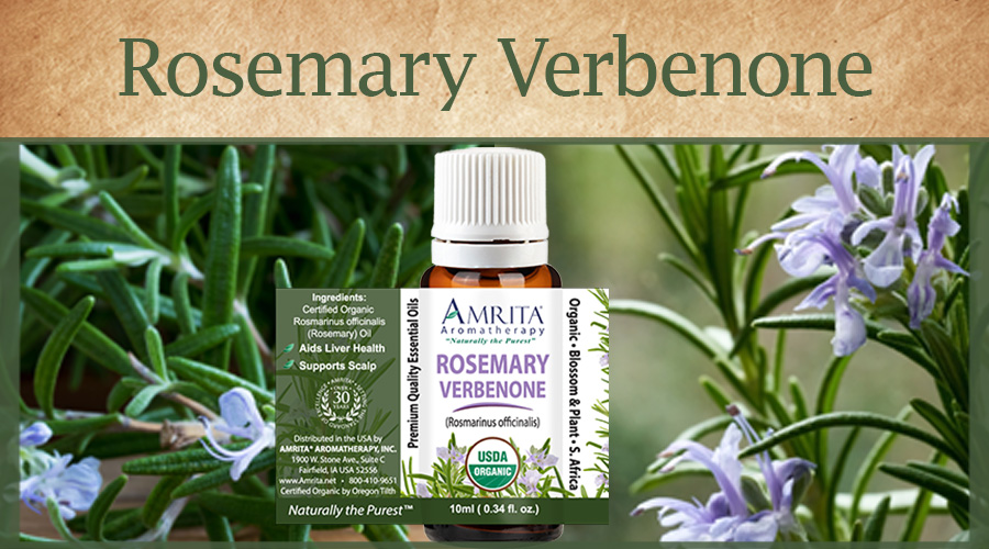 This or That Cineol 1.8, Camphor Borneol, or Verbenone Rosemary