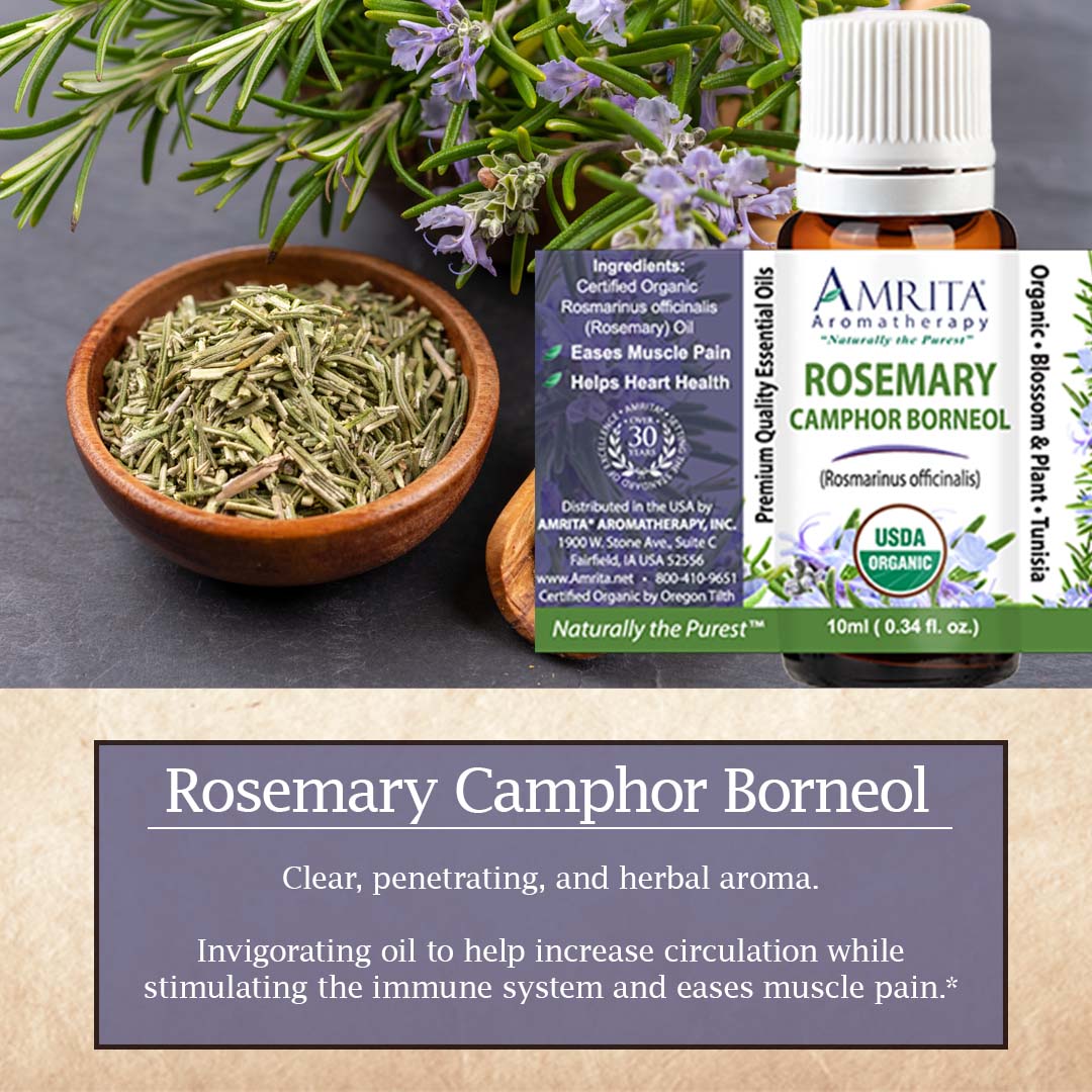 Click here for Rosemary Camphor Borneol