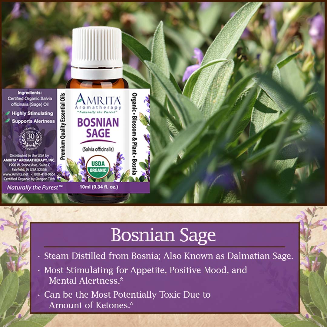 Click here for Bosnian Sage