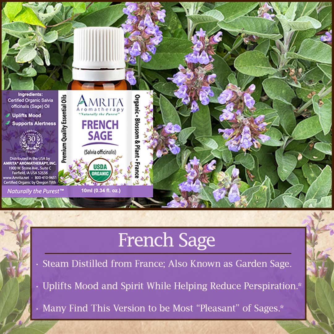 Click here for French Sage