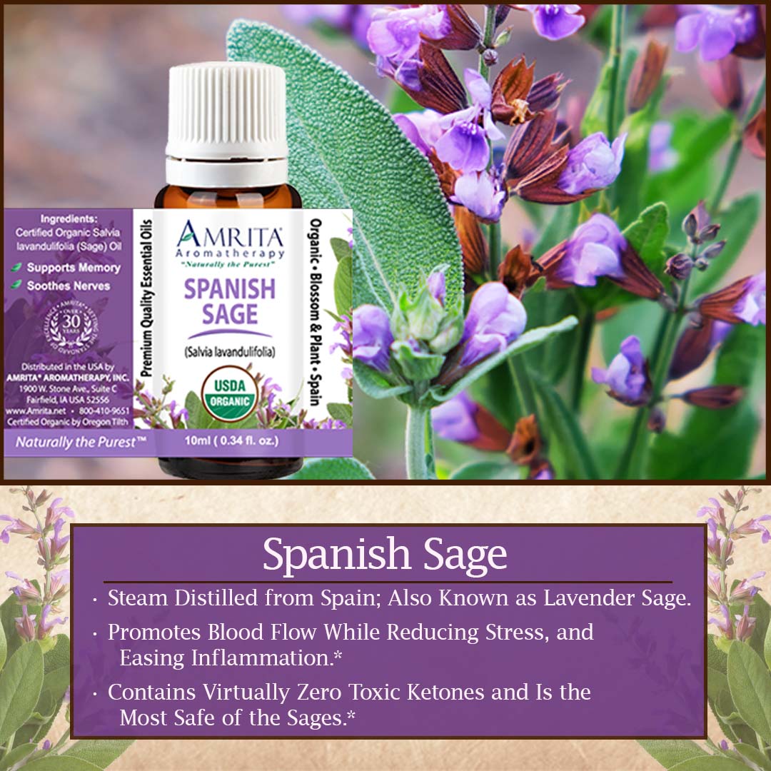Click here for Spanish Sage