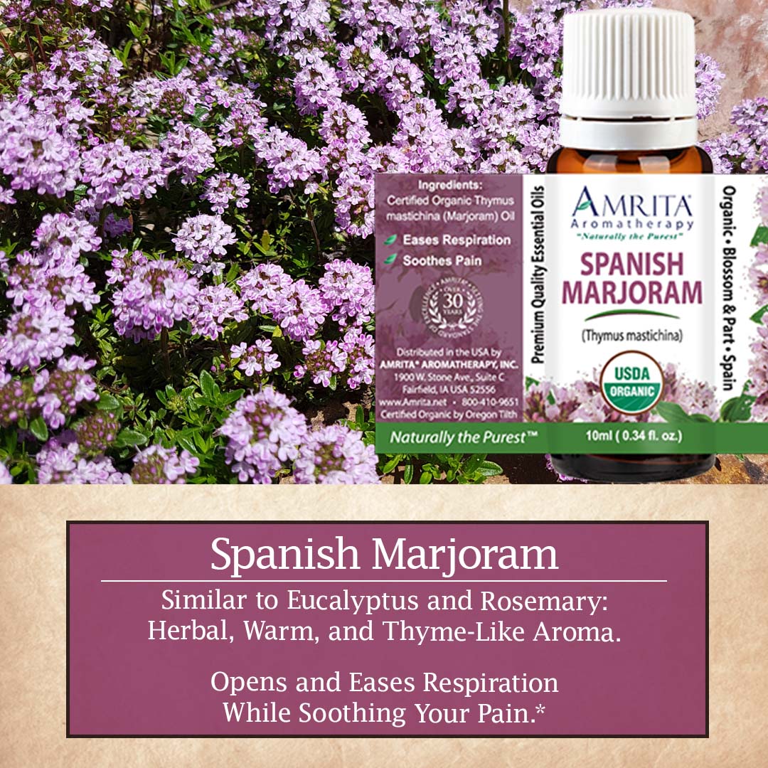 Click here for Spanish Marjoram