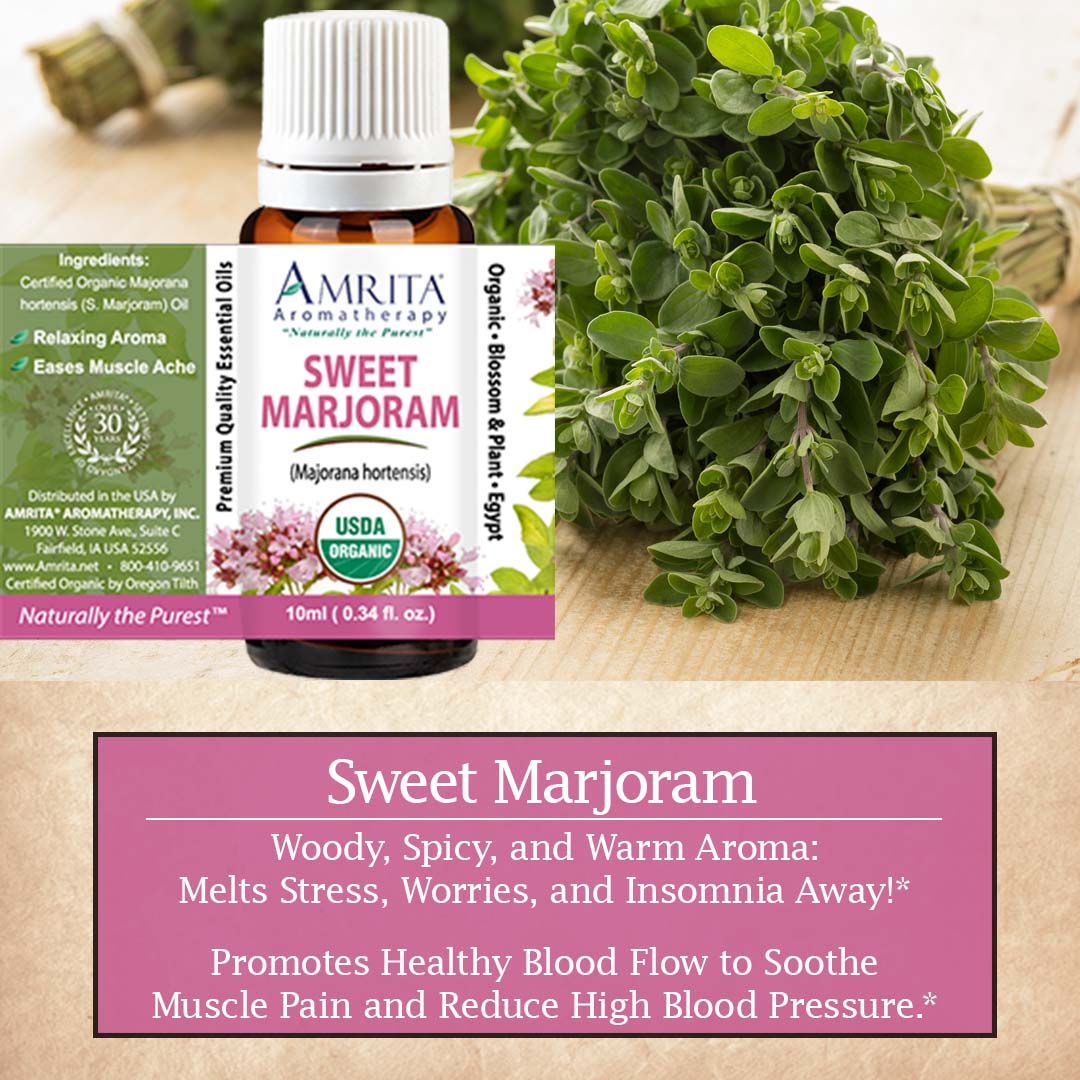 Click here for Sweet Marjoram