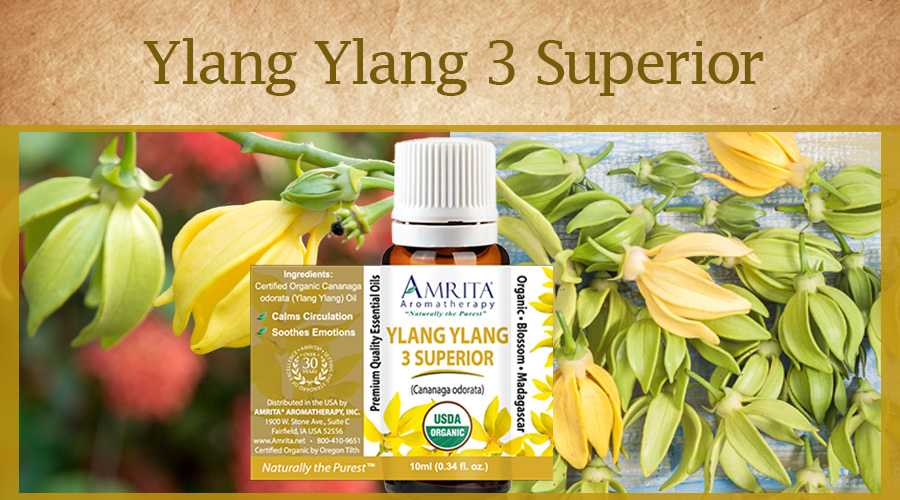 This or That Extra, 3 Superior, or Complete Ylang Ylang Amrita