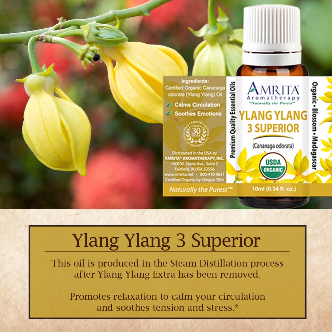 Click here for Ylang Ylang 3 Superior