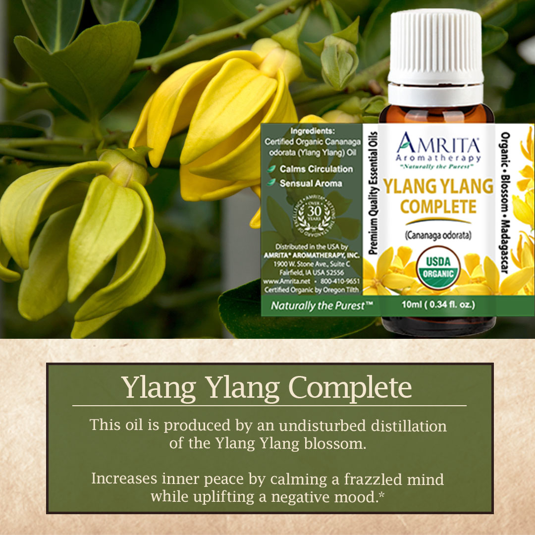 Click here for Ylang Ylang Complete